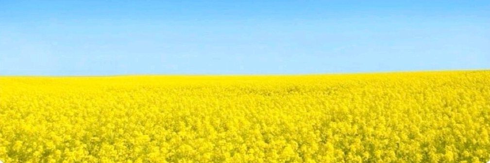 ssvejay's profile banner image