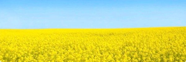 ssvejay Profile Banner