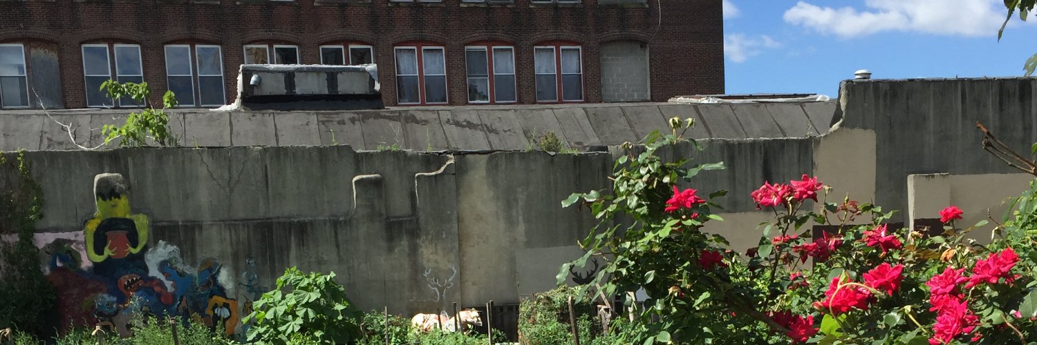 Elsa Noterman banner