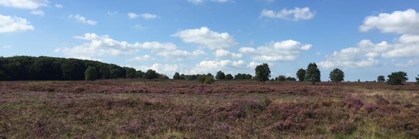 ProductPrincipl Profile Banner