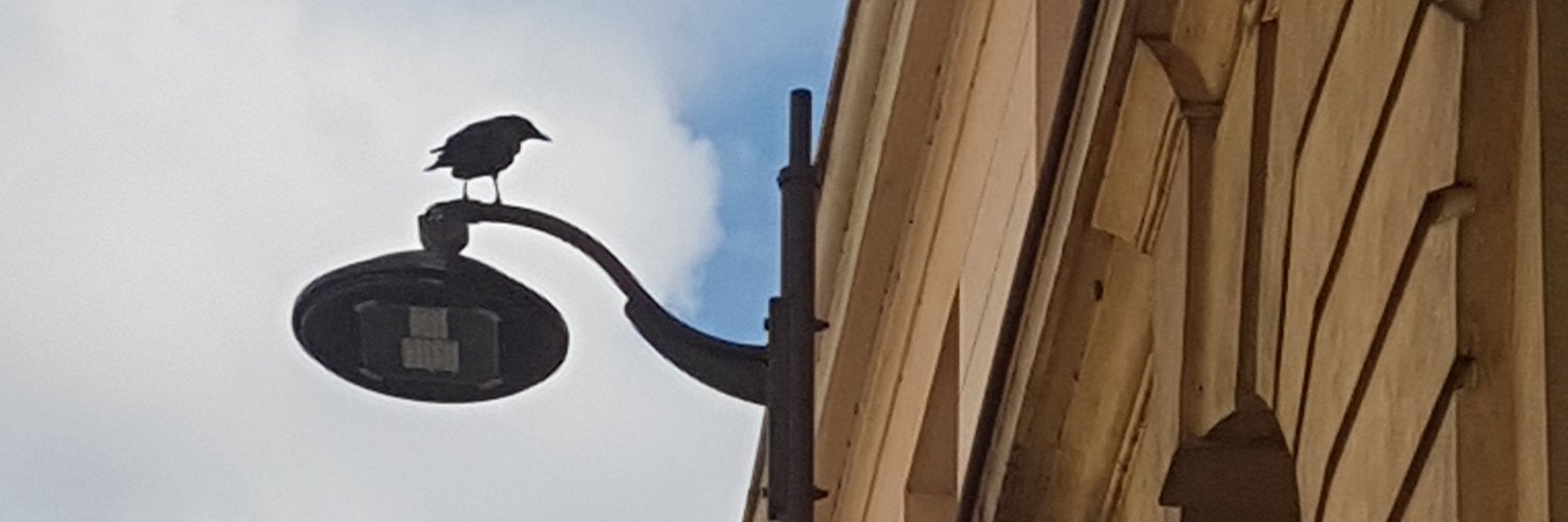 Duke_skeleton's profile banner image