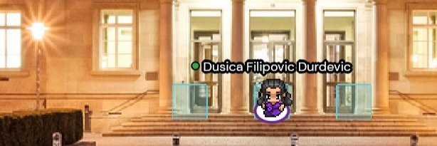 Dusica Filipovic Durdevic banner