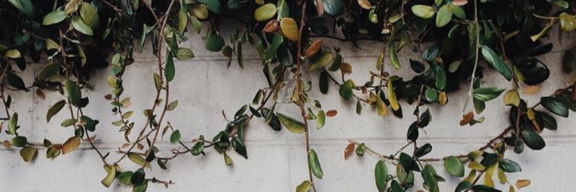 mendeslia_'s profile banner image