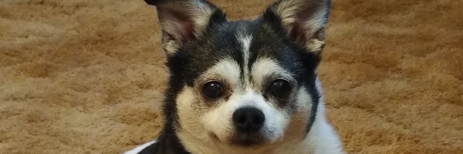 sandralode's profile banner image