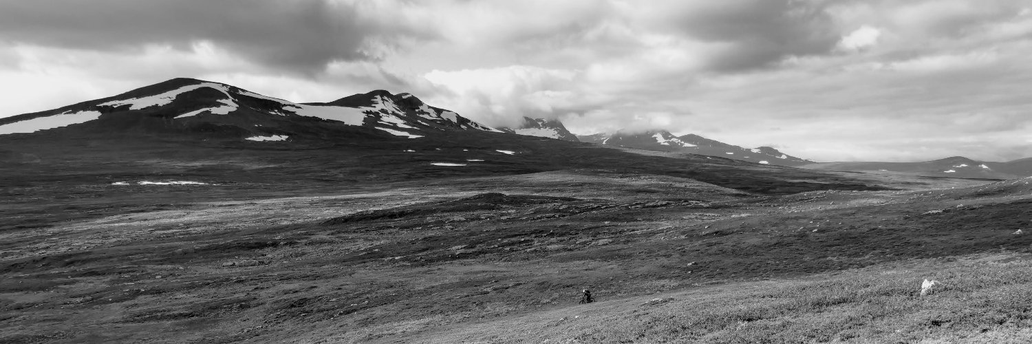 koherensen's profile banner image