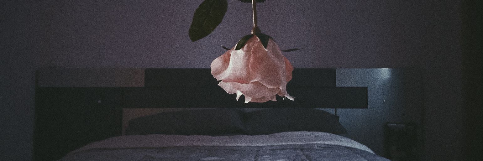 Clariesencia's profile banner image