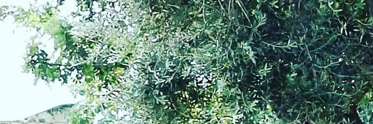 BarbaraQua's profile banner image