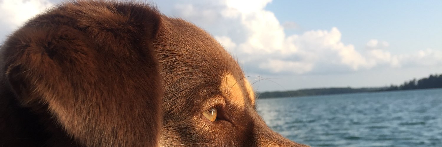 sodercannon's profile banner image