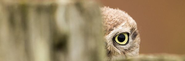 c_b1979 Profile Banner