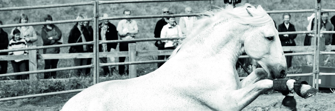 Gary Witheford banner