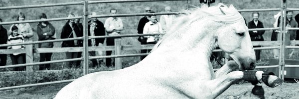 Gary_Witheford_ Profile Banner