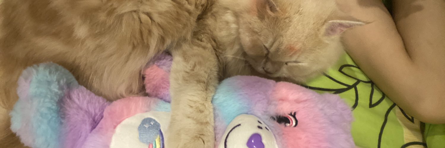 mgustvsn's profile banner image