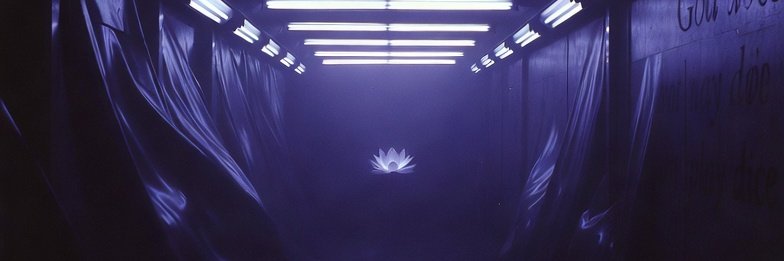 LeeZenbit's profile banner image