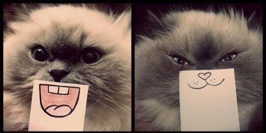 EvaRd96's profile banner image