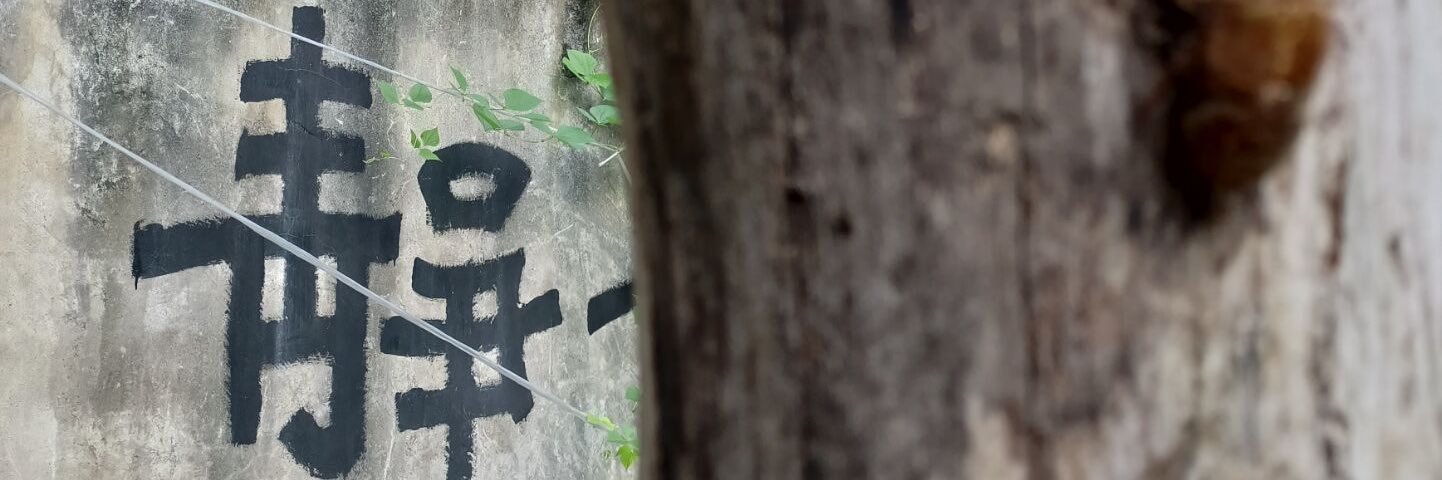 溜双段 banner