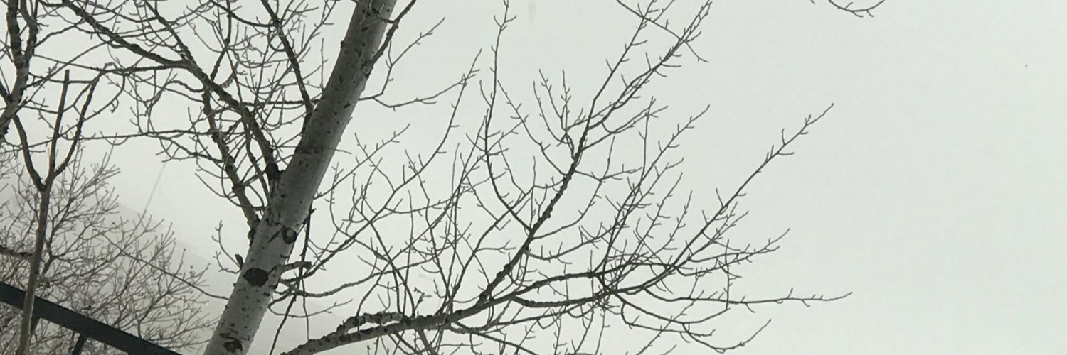 TH banner