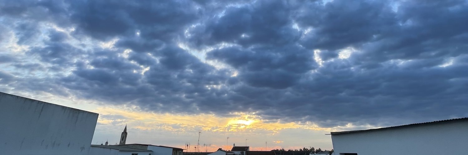 noemisr98's profile banner image