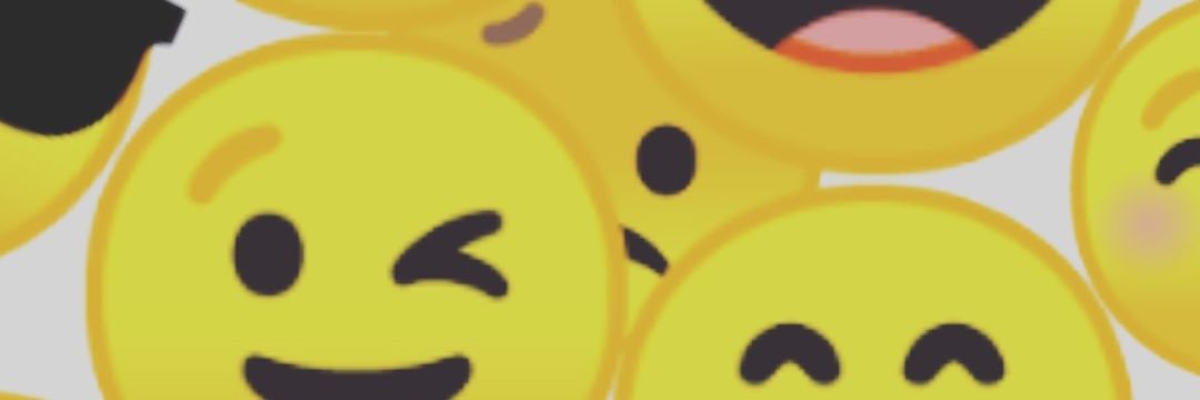 dnpp banner
