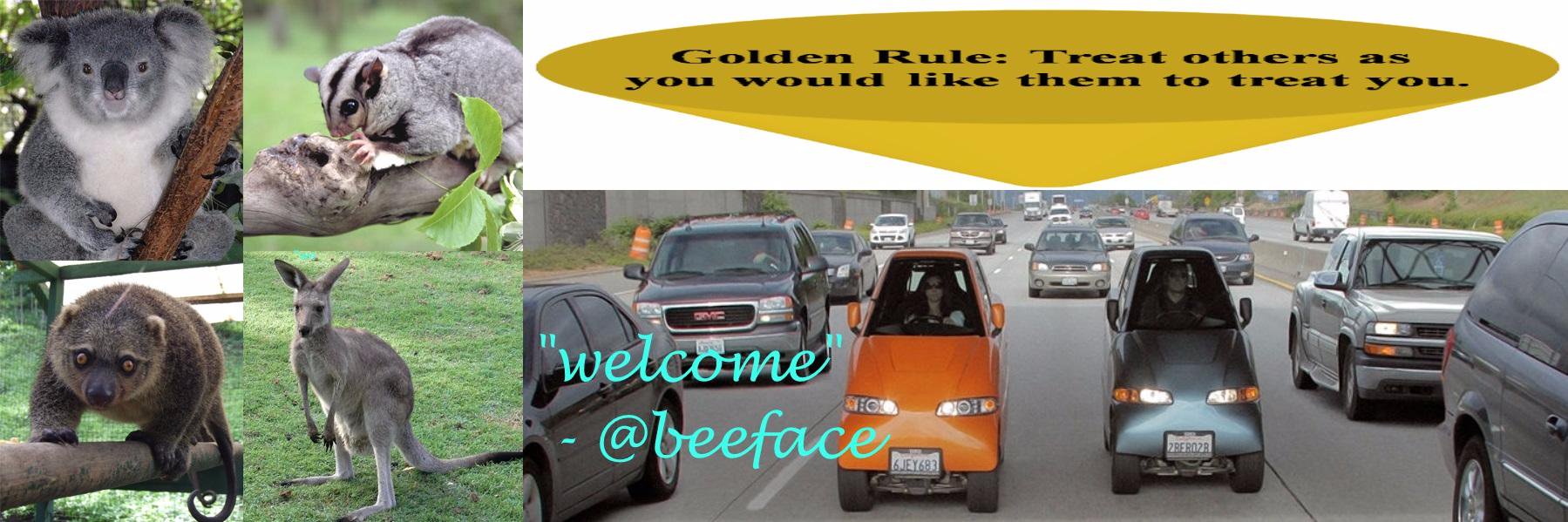 beeface's profile banner image