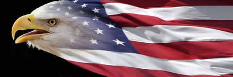 GizaHead's profile banner image