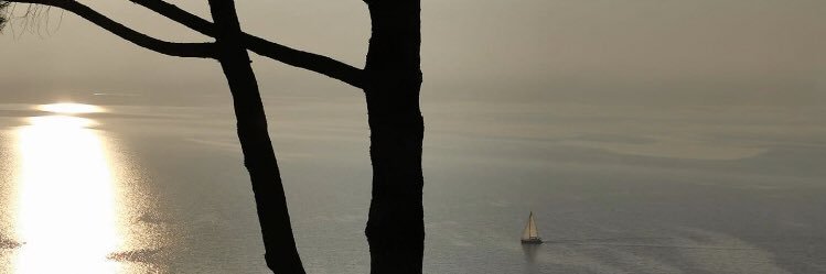 brnmtt's profile banner image