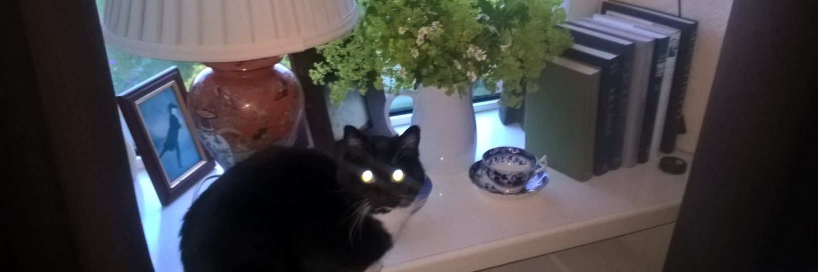 Christine Gibson banner