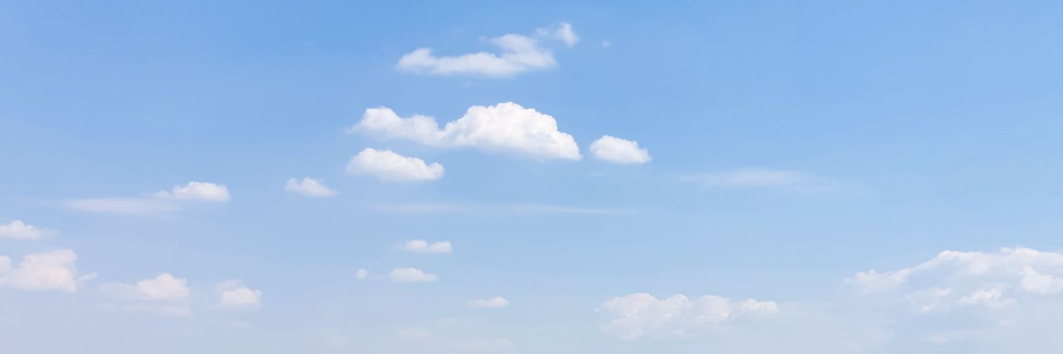 LauraxMurphyx's profile banner image