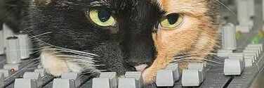 🇦🇺😾💿 Sam Warren 🇺🇦🇵🇸 banner