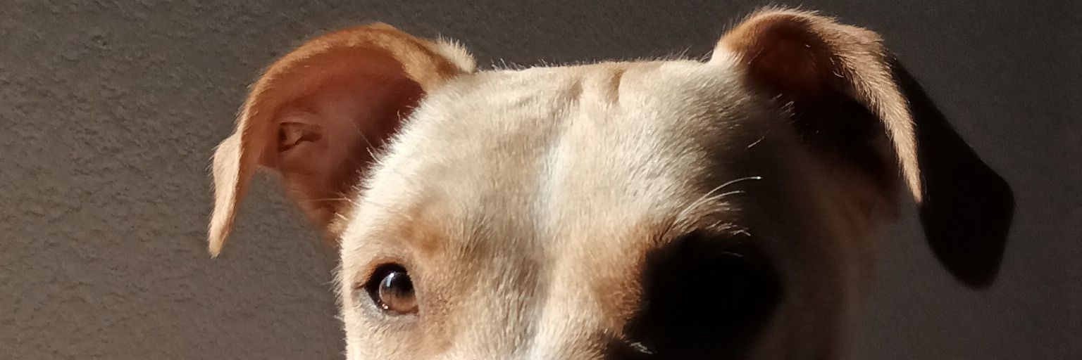 mhhilas's profile banner image