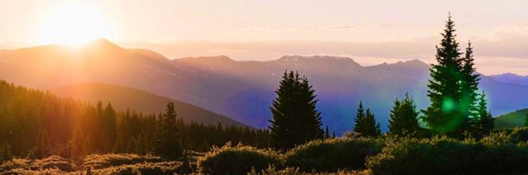 ShelbyMillss's profile banner image