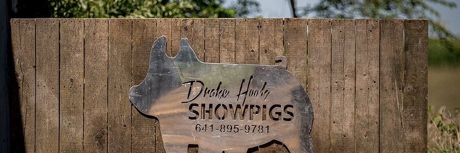 drakehook's profile banner image