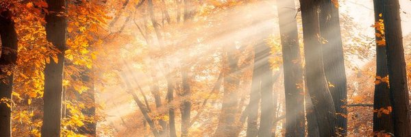 C_B_Copas Profile Banner