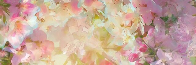 bouclette76's profile banner image
