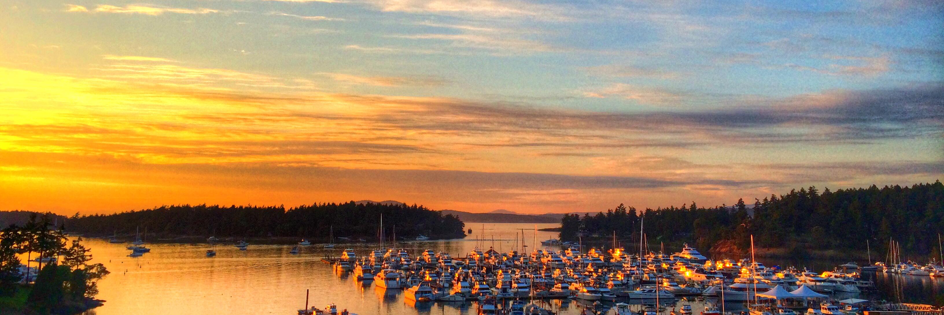 rocheharborwed's profile banner image