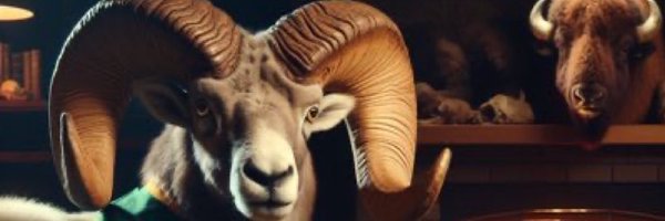 nhaas Profile Banner