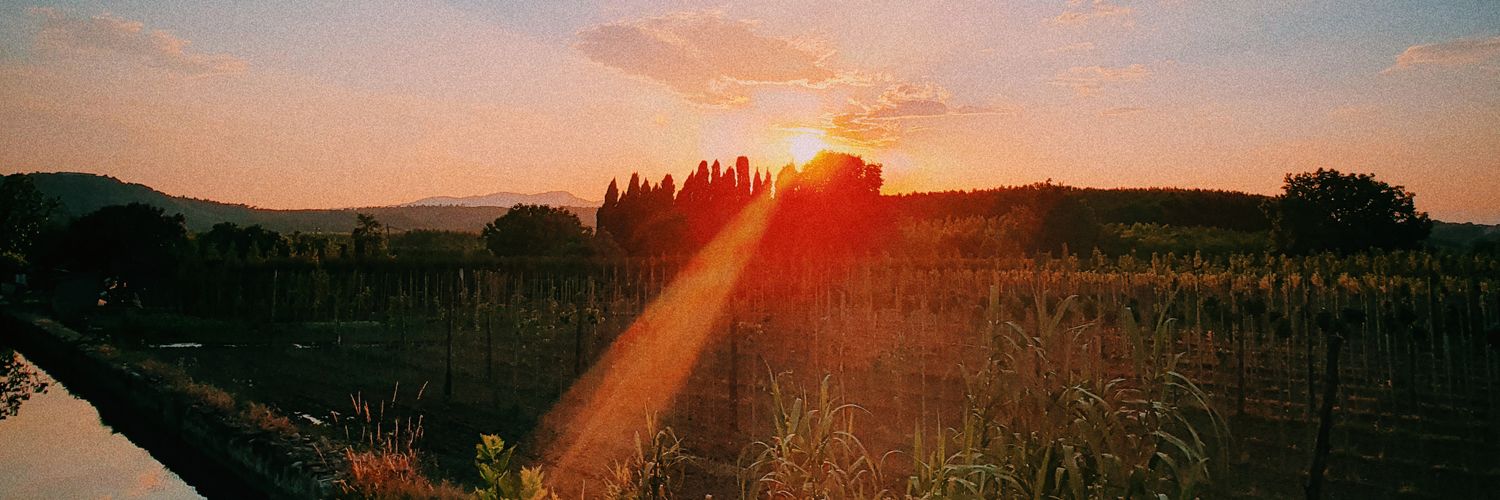 Marta Cel☀️ banner