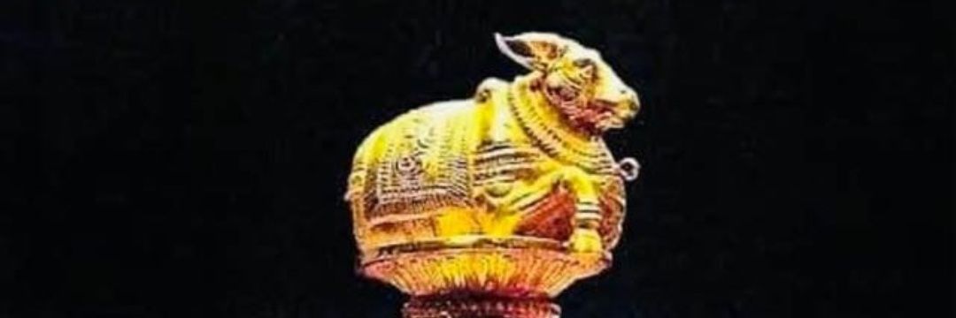 jlsharma's profile banner image
