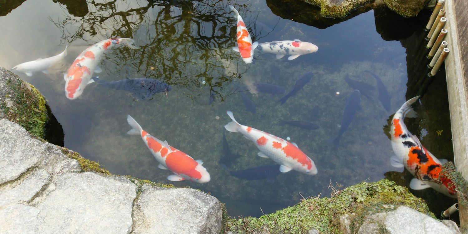 のけち@ナナフェス16th【C-03】 banner