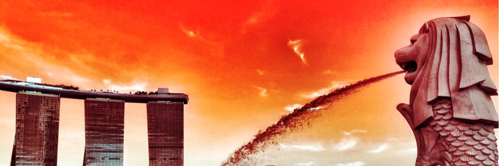 roberta profeta banner