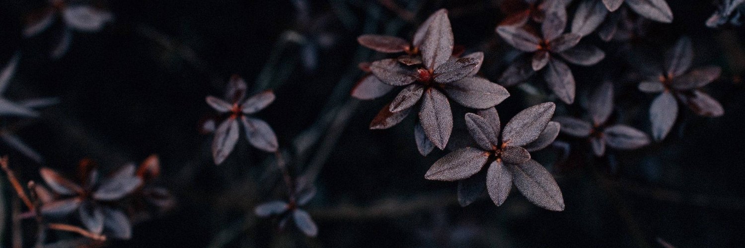 HABYERR6's profile banner image