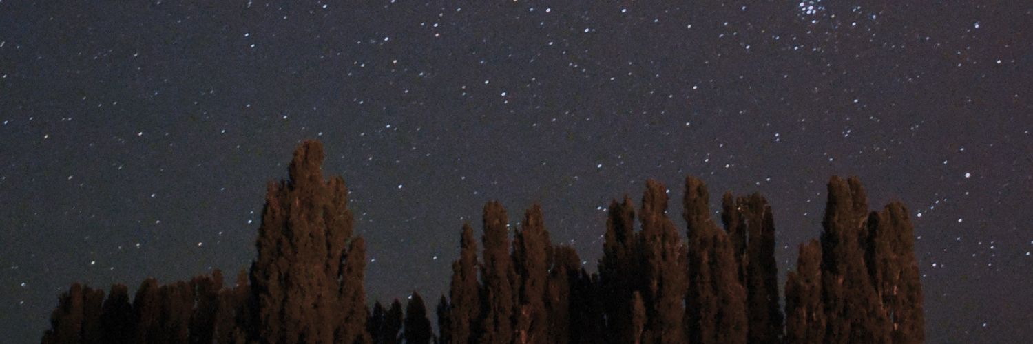 whostinny's profile banner image