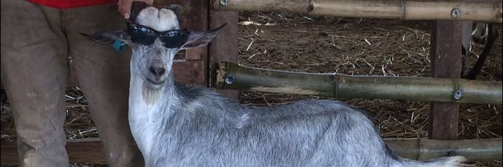 Roder2611's profile banner image