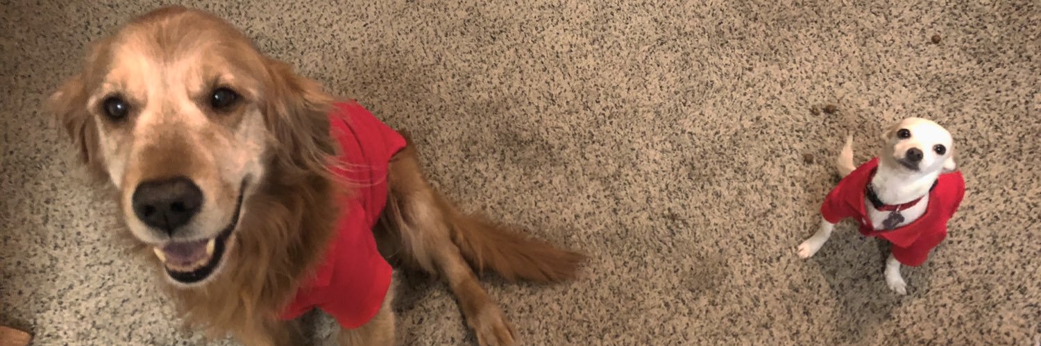 katebrooksm's profile banner image