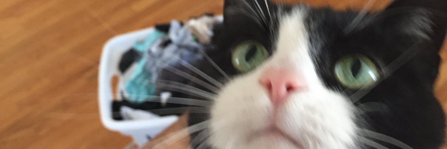 Abby Watson banner