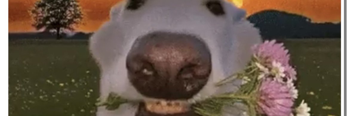 Flabbywatson's profile banner image