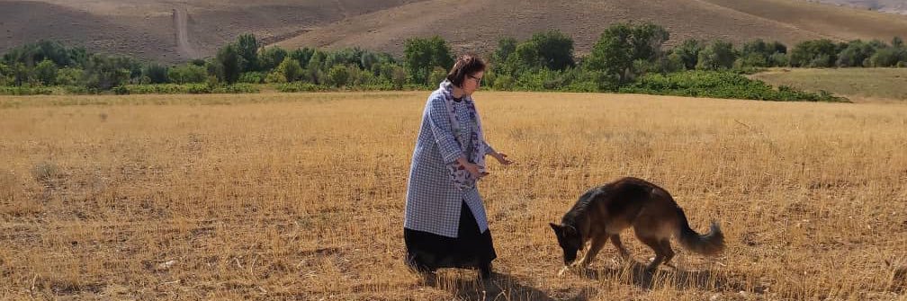 Argin Gerigorian banner