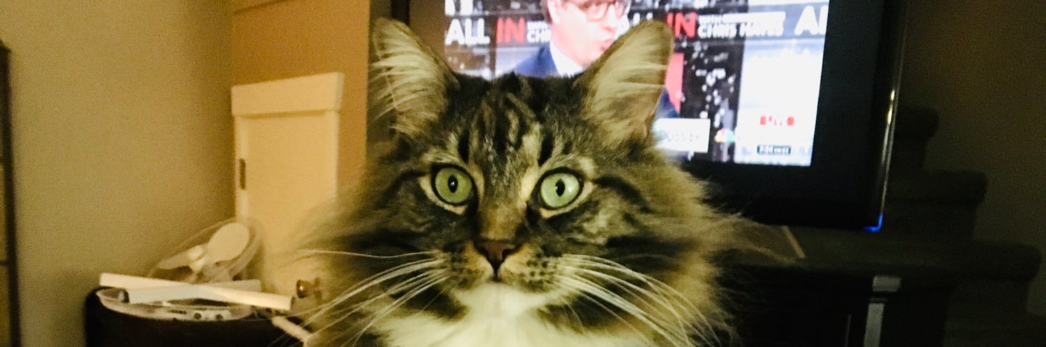 taylor-appears missing banner