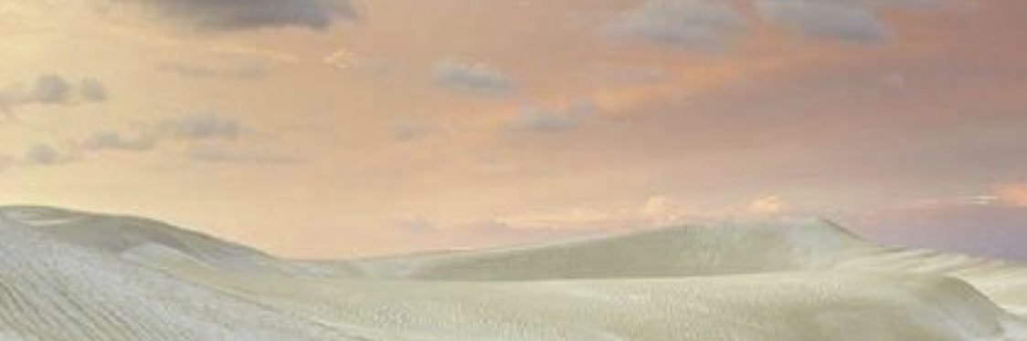 liztpk's profile banner image