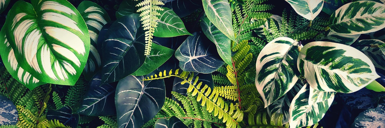 Jandromarques's profile banner image