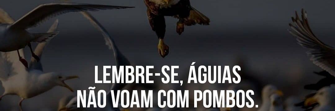Augustoreinner's profile banner image